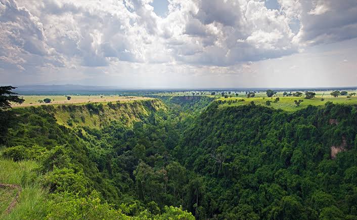 Kibale Forest & Queen Elizabeth NP, Uganda